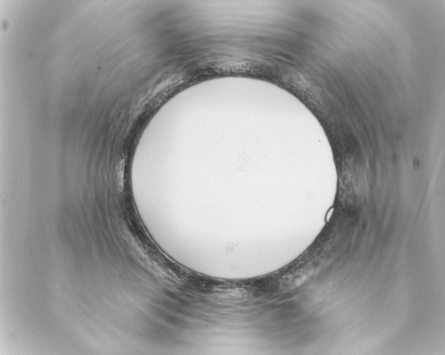 X0000088610454200706221435