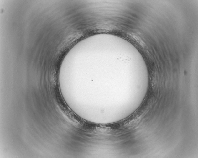 X0000088610455200706221435