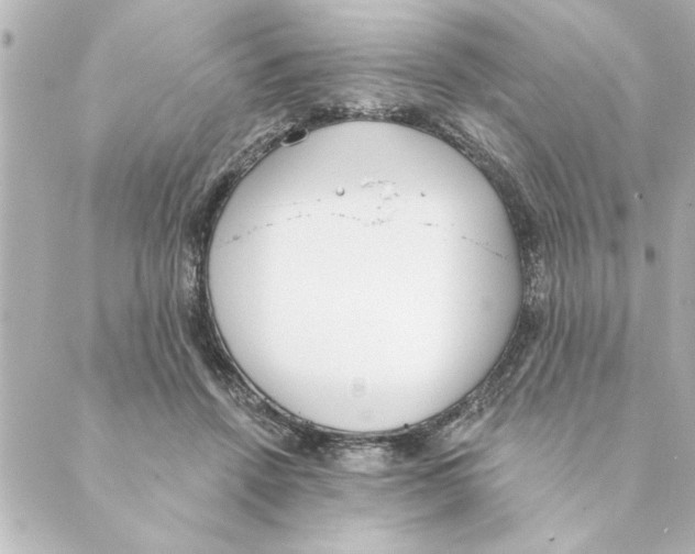 X0000088610456200706221435