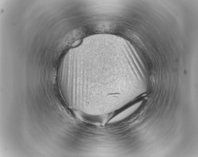 X0000088610458200706221435