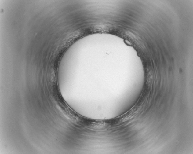 X0000088610459200706221435