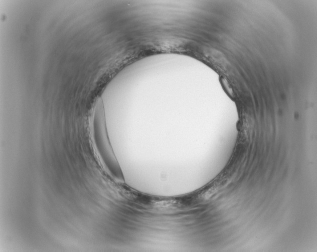 X0000088610461200706221435