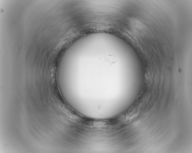 X0000088610462200706221435