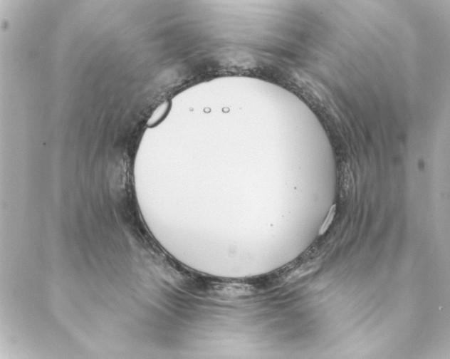 X0000088610463200706221435