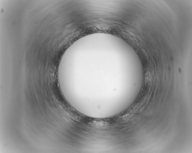 X0000088610464200706221435