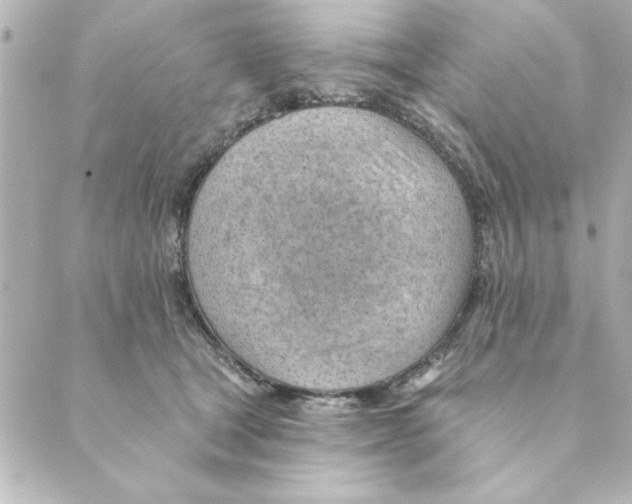 X0000088610465200706221435