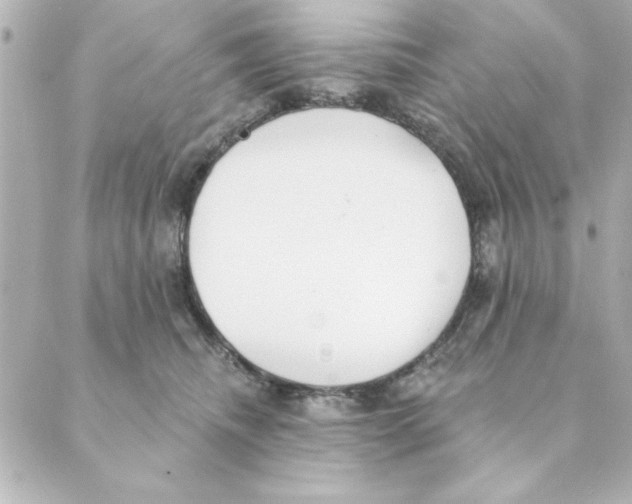 X0000088610468200706221435