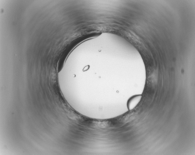 X0000088610469200706221435