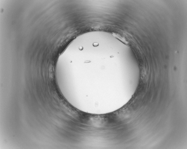 X0000088610470200706221435