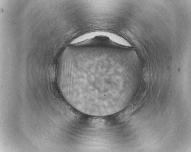 X0000088610471200706221435