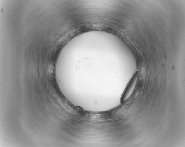 X0000088610472200706221435