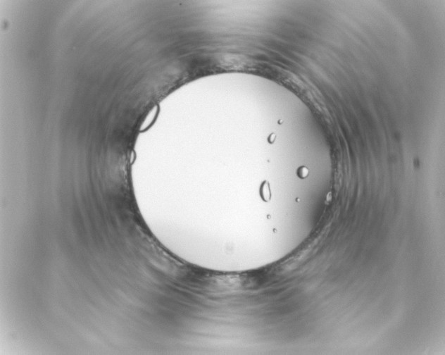 X0000088610473200706221435