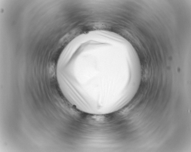 X0000088610478200706221435