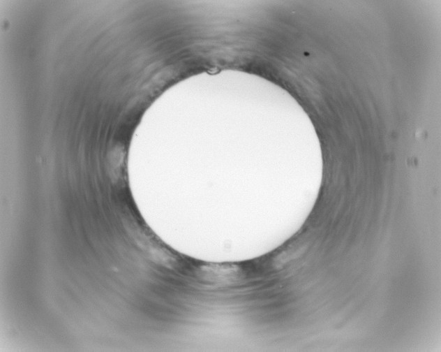 X0000088610480200706221435