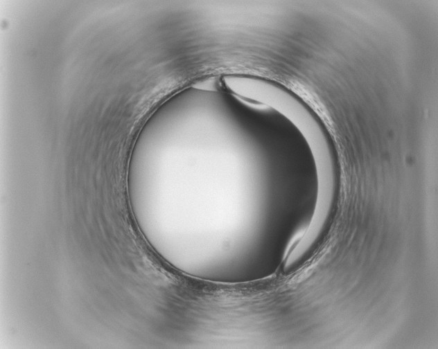 X0000088610481200706221434