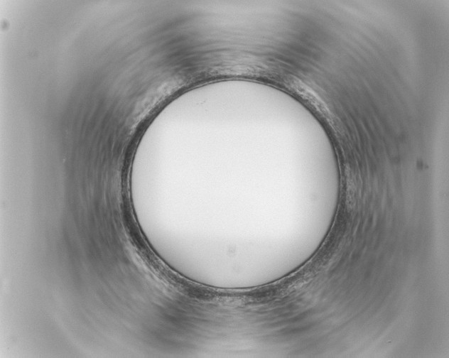 X0000088610482200706221434