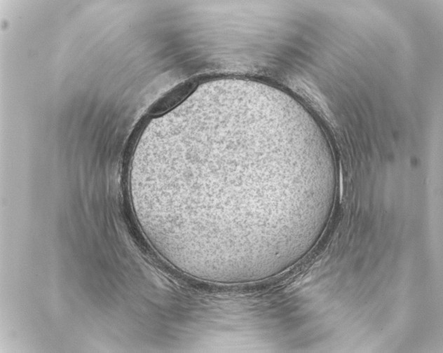 X0000088610483200706221434