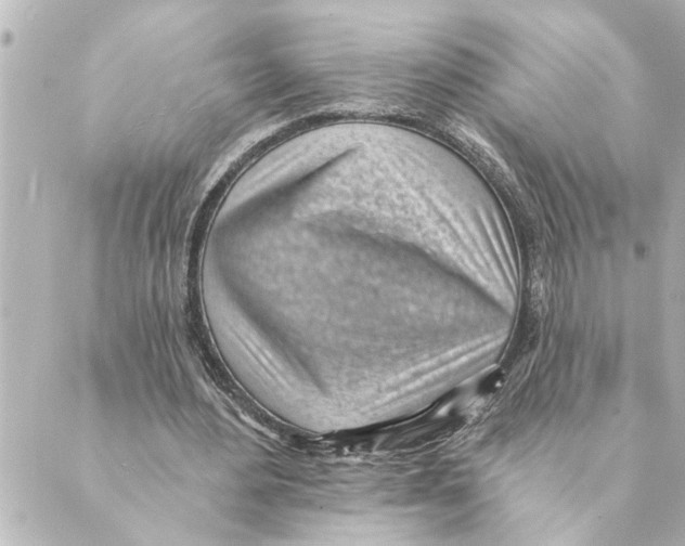 X0000088610484200706221434