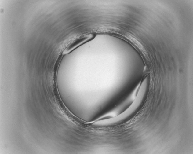 X0000088610485200706221434