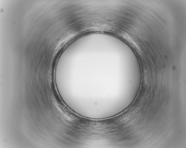 X0000088610486200706221434