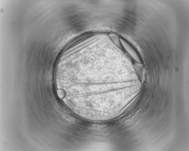 X0000088610487200706221434