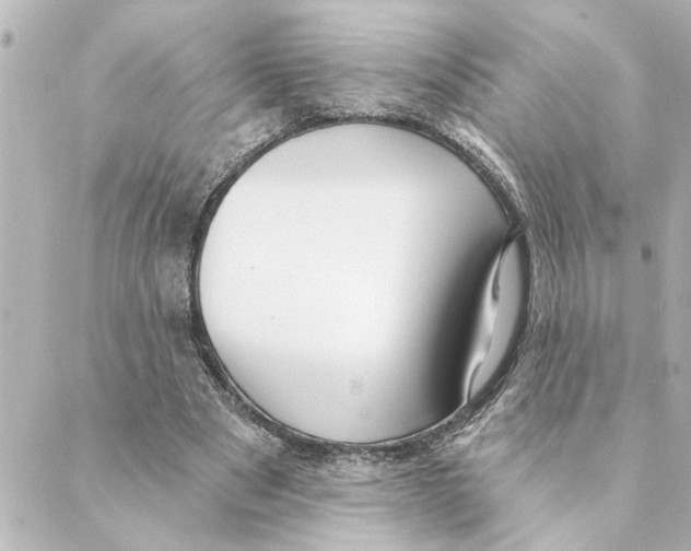 X0000088610489200706221434