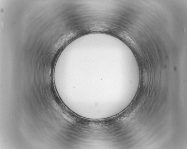 X0000088610490200706221434