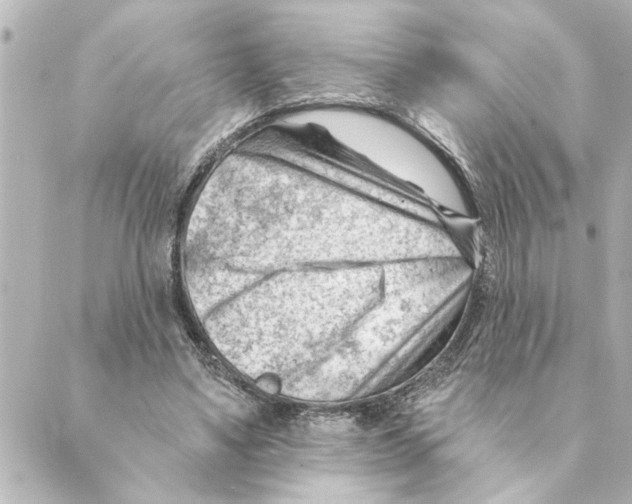 X0000088610491200706221434