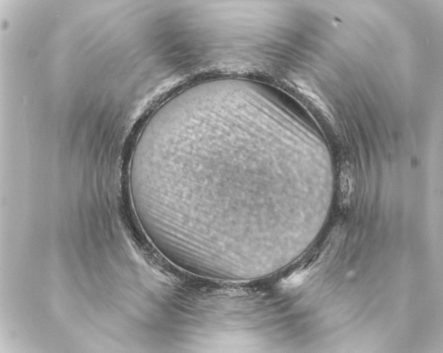 X0000088610492200706221434