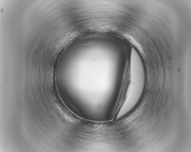 X0000088610493200706221434