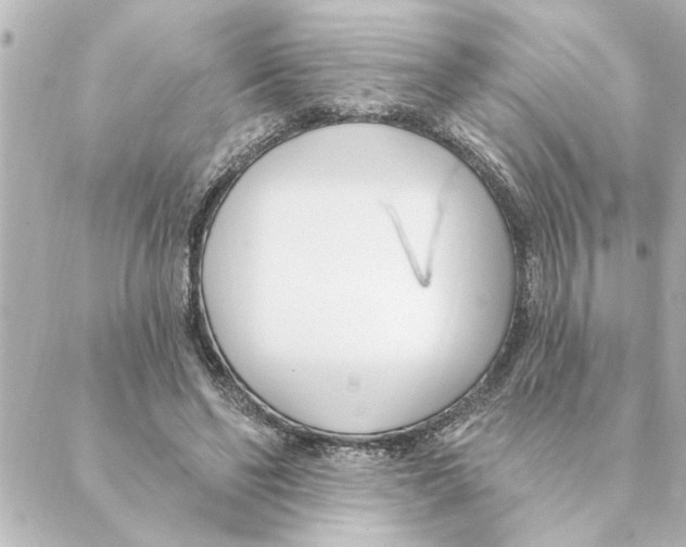 X0000088610494200706221434