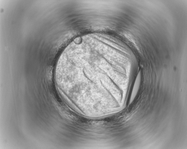 X0000088610495200706221434