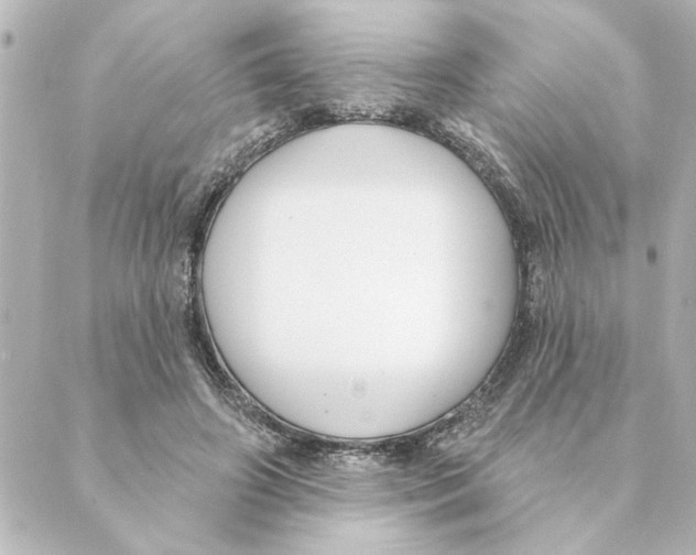 X0000088610498200706221434