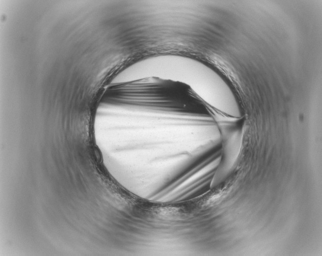 X0000088610501200706221434