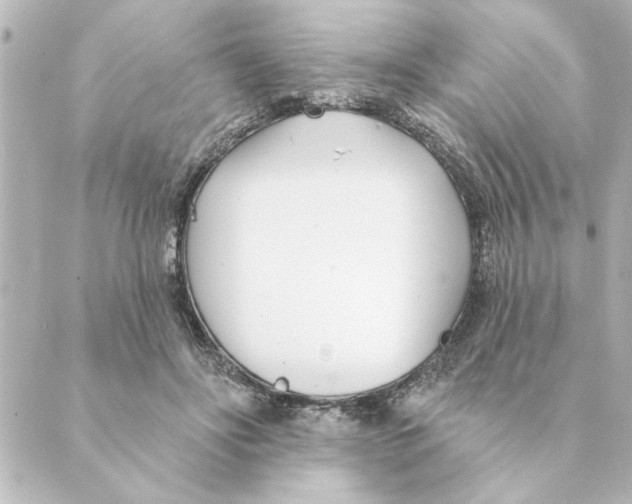 X0000088610502200706221434