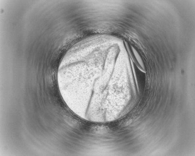 X0000088610503200706221434