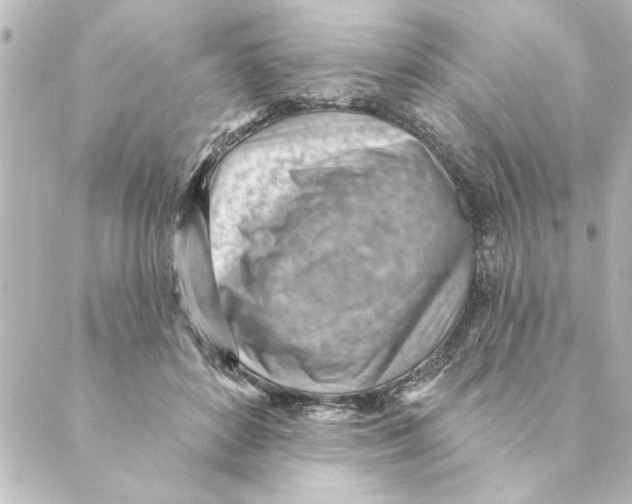 X0000088610504200706221434