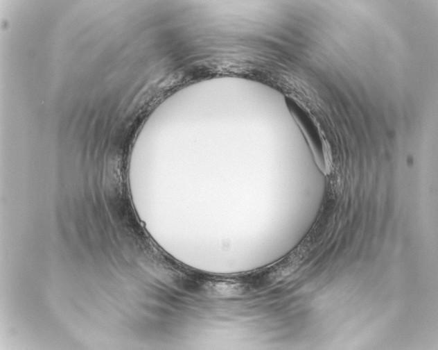 X0000088610506200706221434