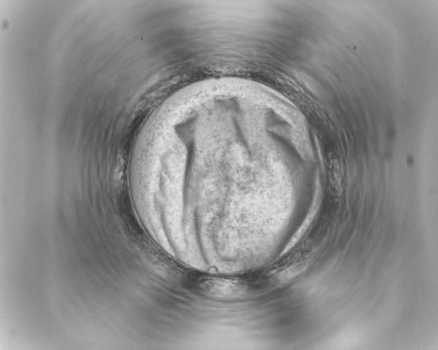 X0000088610507200706221434