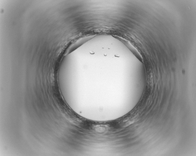 X0000088610508200706221434