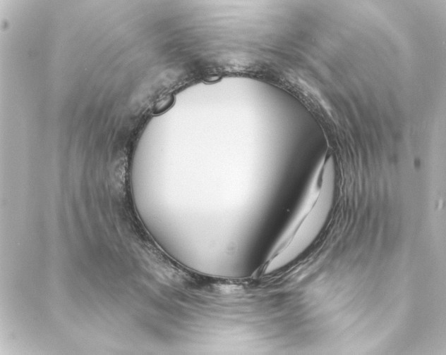 X0000088610509200706221434