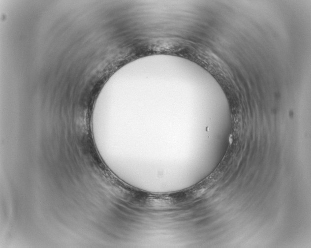 X0000088610510200706221434