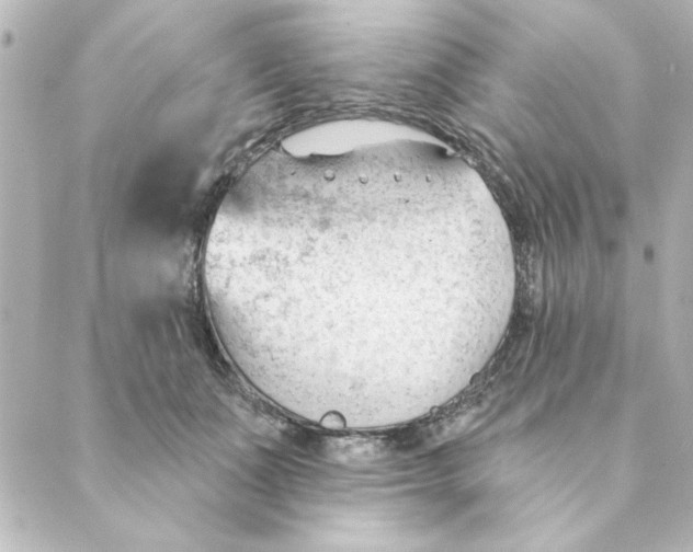 X0000088610511200706221434