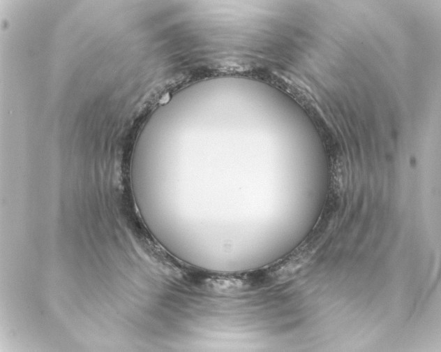 X0000088610512200706221434