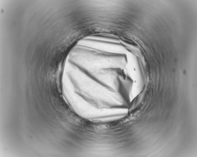 X0000088610513200706221434