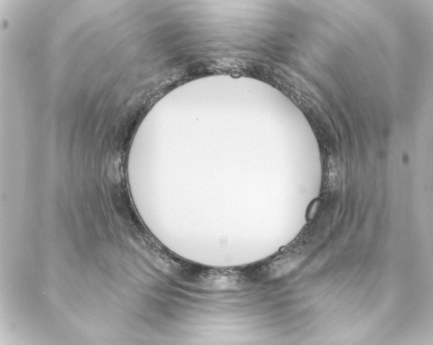 X0000088610514200706221434