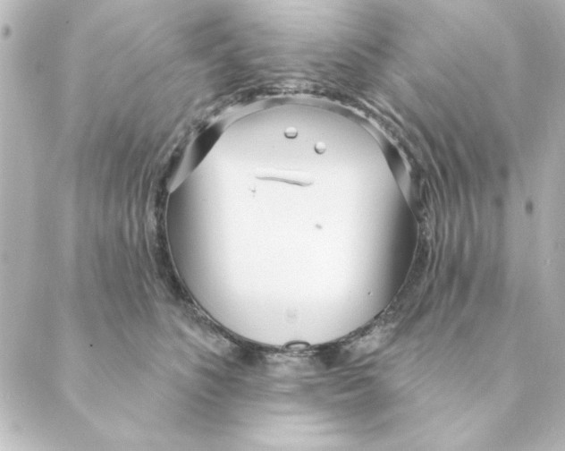 X0000088610516200706221434