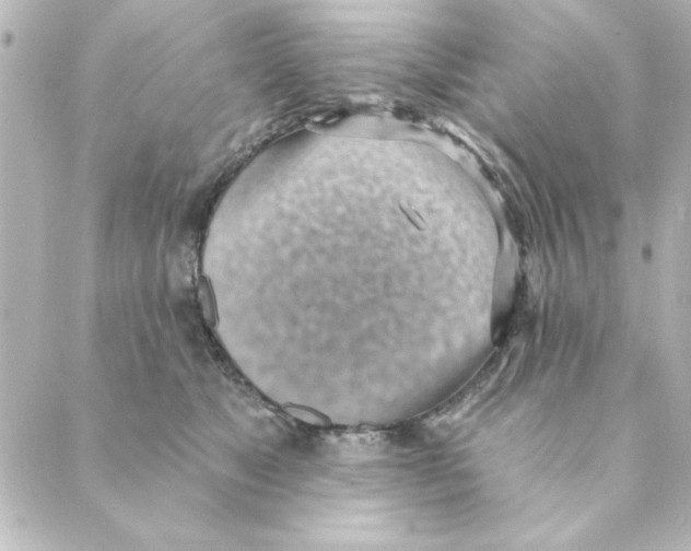 X0000088610517200706221434