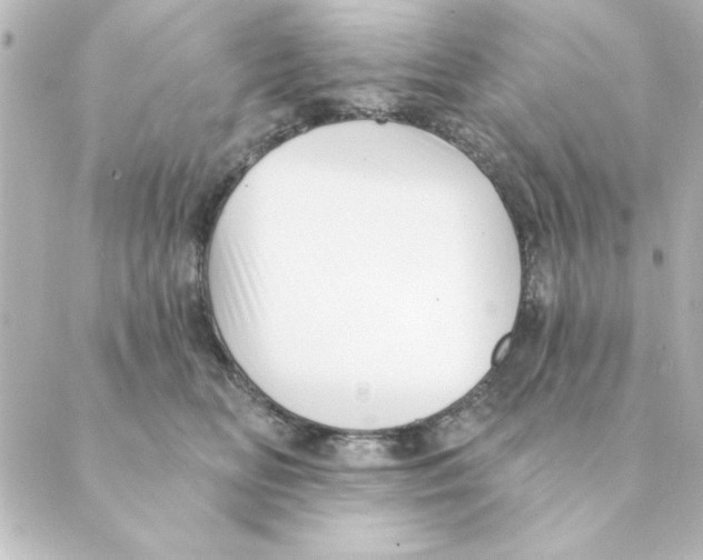 X0000088610518200706221434