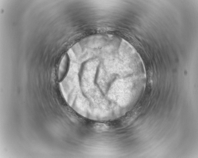 X0000088610519200706221434